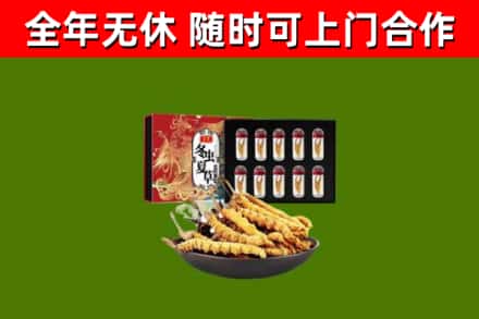滁州回收冬虫夏草价格